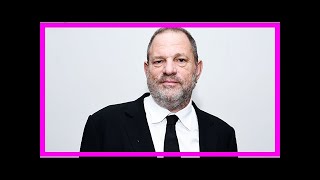 Gavin Polone On Harvey Weinstein And Whos To Blame Accomplices Must Be Exposed- News N&N Chanel