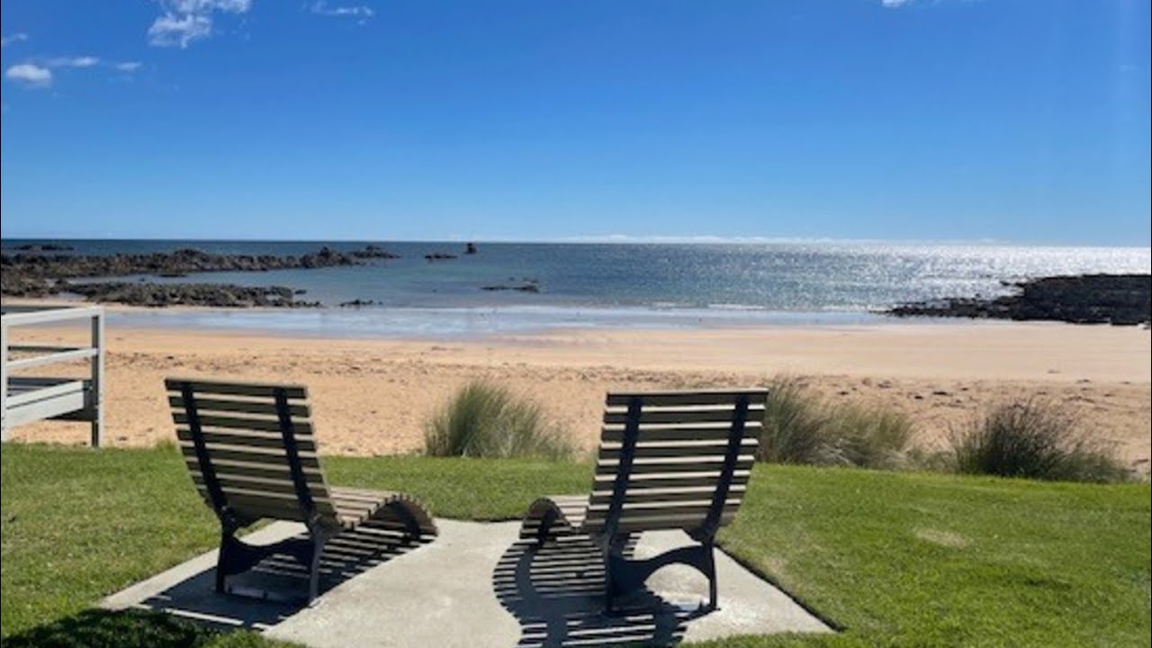 Пингвин Тасмании Давайте осмотримся вокруг