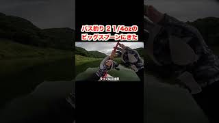 スティーズスプーン2 1/4オンス #釣り #バス釣り #fishing #bassfishing
