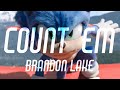 Count 'Em - Brandon Lake | Sonic The Hedgehog AMV 🎶