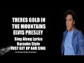 Elvis There&#39;s Gold In The Mountains HQ Sing Along Lyrics