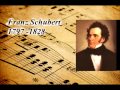 Franz Schubert - Ständchen - Serenade in D Minor