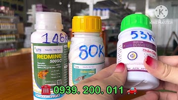 Mọt đục cành, giải pháp quản lí hiệu quả từ bộ ba APN