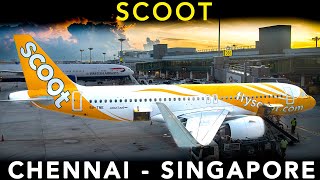 SCOOT | Airbus A320-200 | Singapore's BIGGEST Low Cost airline | Chennai to Singapore - TRIP REPORT
