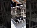 3x4x4 Dog Cage 