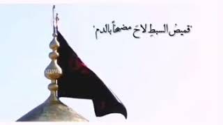 حي على العزاء|معشوقي باسم الكربلائي إستقبال شهر محرم الحرام 1442