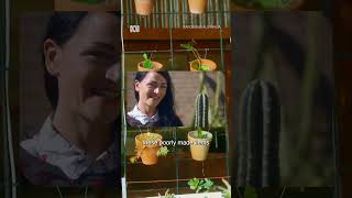 Moniques Amazing DIY Garden | Gardening Australia
Moniques Amazing DIY Garden | Gardening Australia Moniques Amazing DIY Garden | Gardening Australia