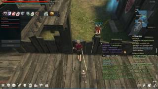 Vindictus Bug