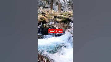 سورة النصر ❤️