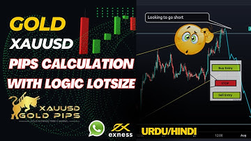 Forex Trading #Gold || How to calculate Gold XAUUSD pips | EXPLANATION WITH LOT SIZE  URDU/HINDI