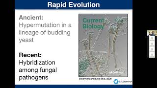 Medical Mycology Trainee Seminar April 2021