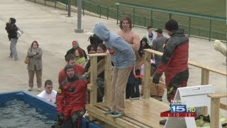 180 "plunge" for Special Olympics