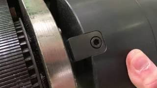 IMG 1335