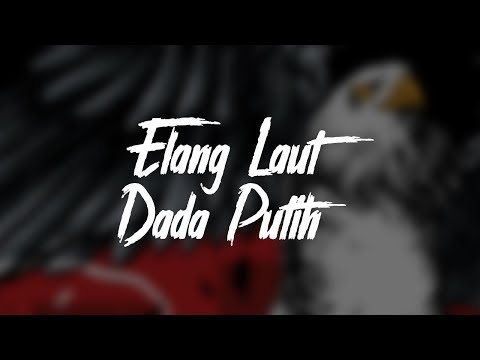 Momosen - Elang Laut Dada Putih (Official Lyric Video)