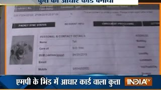 Operator in Bhind get arrested for making aadhar card of a dog | India Tv screenshot 4