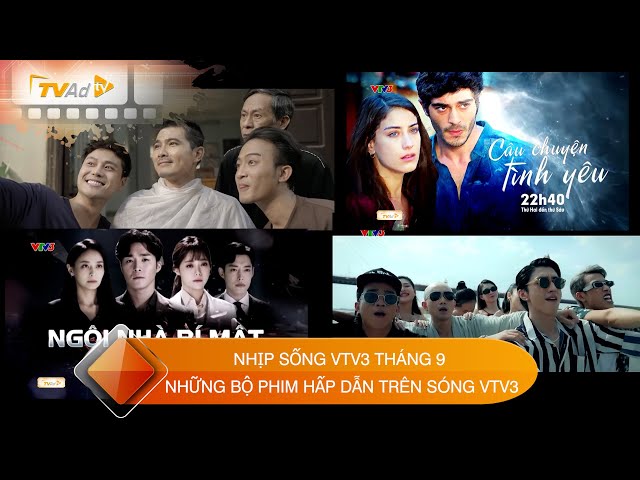 Phim Việt Hay Trên VTV3: Khám Phá Những Bộ Phim Đáng Xem Nhất