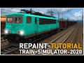 Wie erstelle ich ein Repaint? / Tutorial #1 / Train Simulator 2020