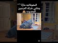 المخوفاتيه مارد وشلبي شركه المرعبين المحدوده ملخصات افلام ملخص ملخص افلام المخوفاتيه مارد وشلبي شركه المرعبين المحدوده ملخصات افلام ملخص ملخص افلام