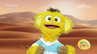 《动物好伙伴》 20260225 | 华语动漫