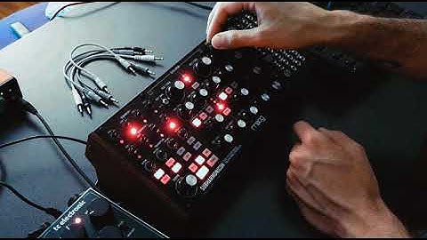 Moog subharmonicon - analog ambient