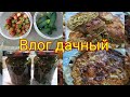 Живем на даче/, что на ужин/наш урожай/замариновала чесночные стрелки.