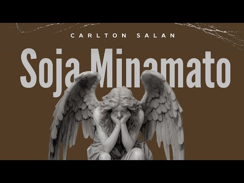 10 Carlton Salan Tipeiwo Meso Official Audio Soja Minamato Album 2024 Mp3