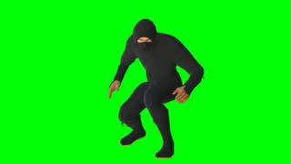 Green Screen Ninja