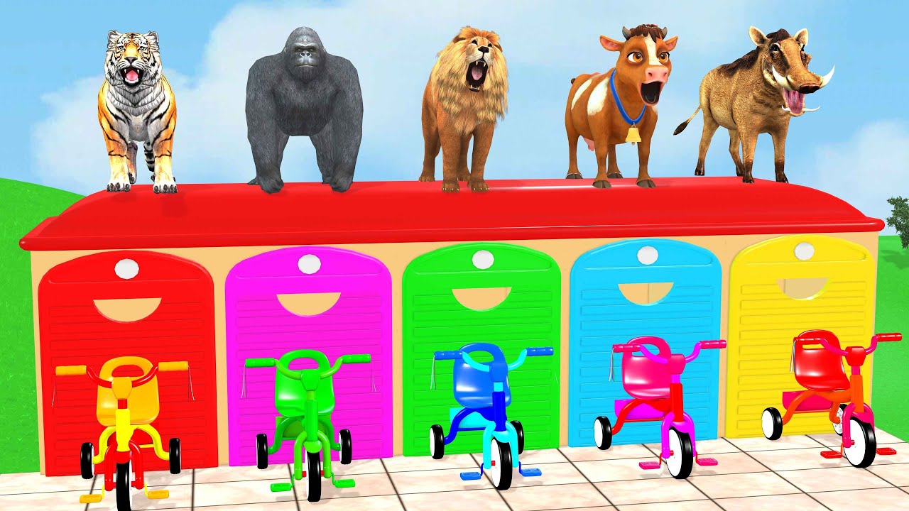 Long Slide Game With Cow Elephant Gorilla Hippopotamus Tiger 3d Animal Game Funny 3d Animals
