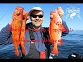 Fiskeskolen sesong 3, episode 1: Uerfiske med naturlig agn