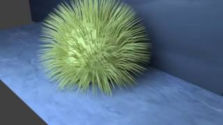 Hair Dynamics Blender v2.78 noob Lo Res