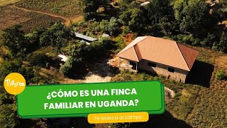 ¿Cómo es una Finca familiar en Uganda?  - TvAgro por Juan Gonzalo Angel Restrepo by TvAgro 5,366 views 7 days ago 20 minutes