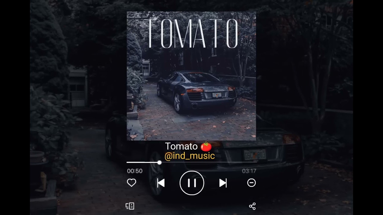 Tomato tomato song Brazilian (phonk)......