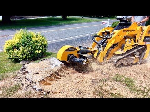 The Tree Was Gone... But A Massive Problem Remained
