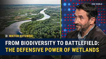 Ecology Meets Security: how peatlands and wetlands are protecting Europe’s borders | Wiktor Kotowski