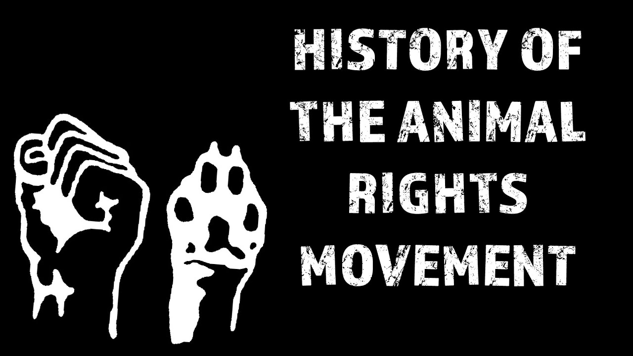 A Brief History Of The Animal Rights Movement - YouTube