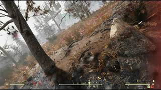 Cranberry Bog Object Random Encounter Hotspot #13 - Fallout 76