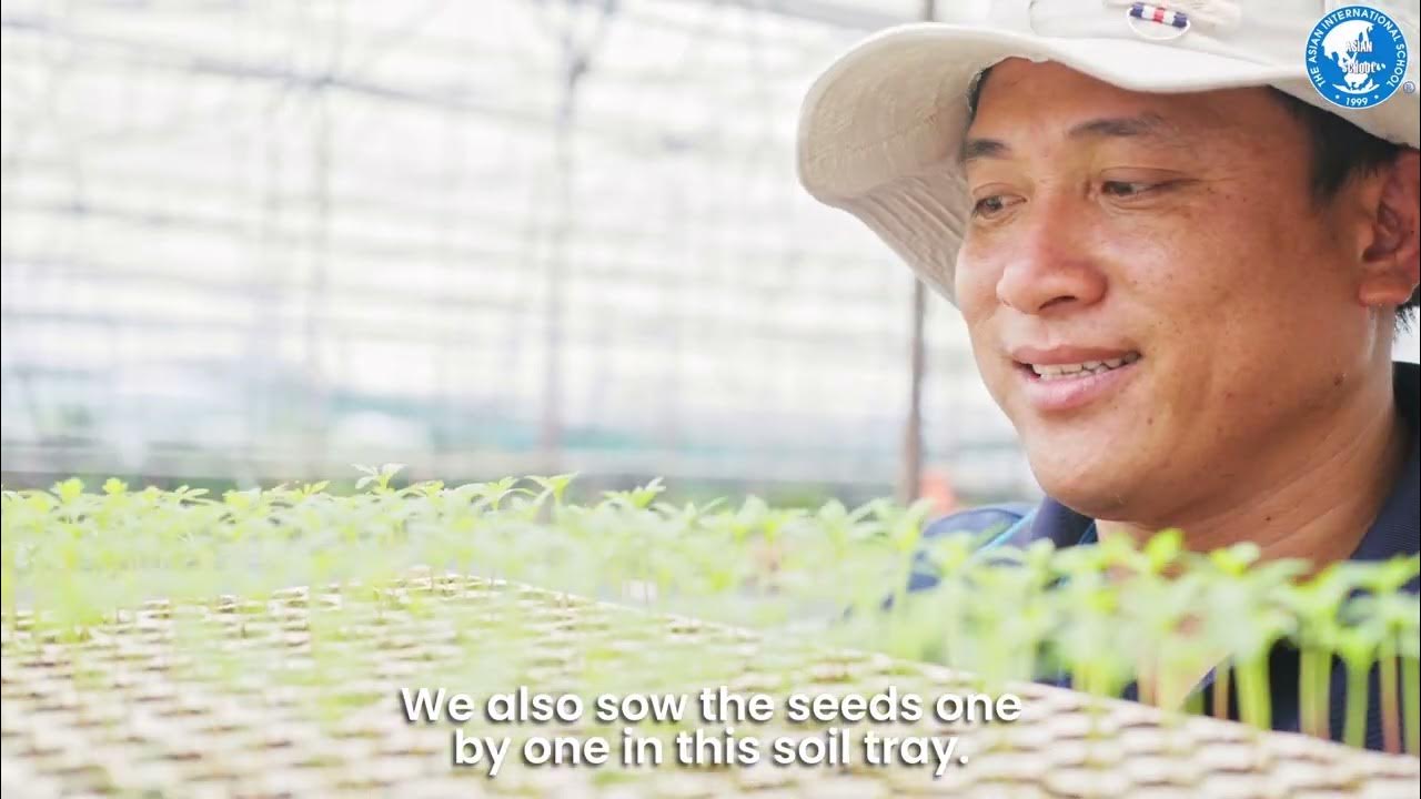 Planting Trees For The Future YouTube