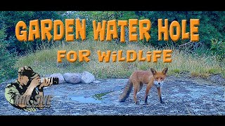 Making a garden water hole for wildlife