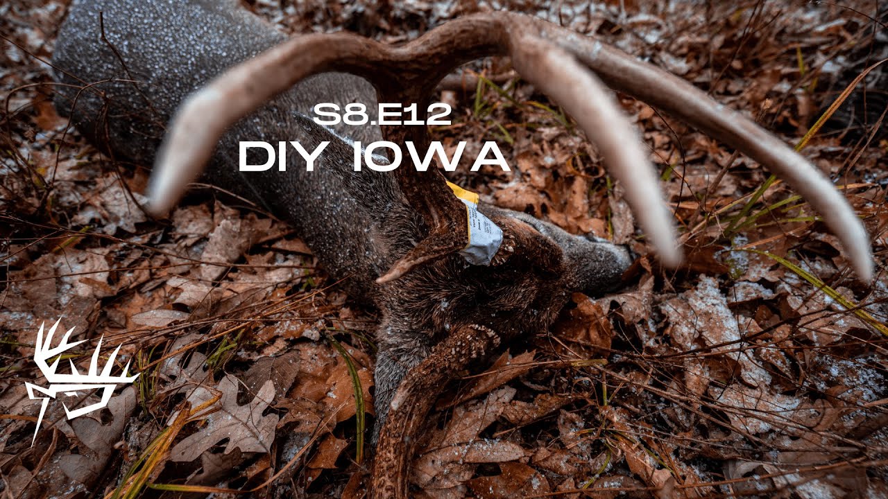 Public Land Iowa Deer Hunt YouTube