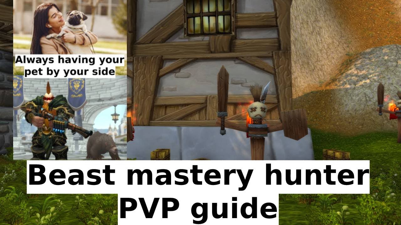 Beast mastery hunter - pvp guide - wow dragonflight - patch 10.0.7 - part 1
