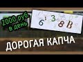 100 руб за 1 капчу – ЧЁРНЫЙ СПИСОК #36