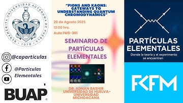 Pion and Kaons: Gateways to Understanding Quantum Chromodynamics -Dr Adnan Bashir