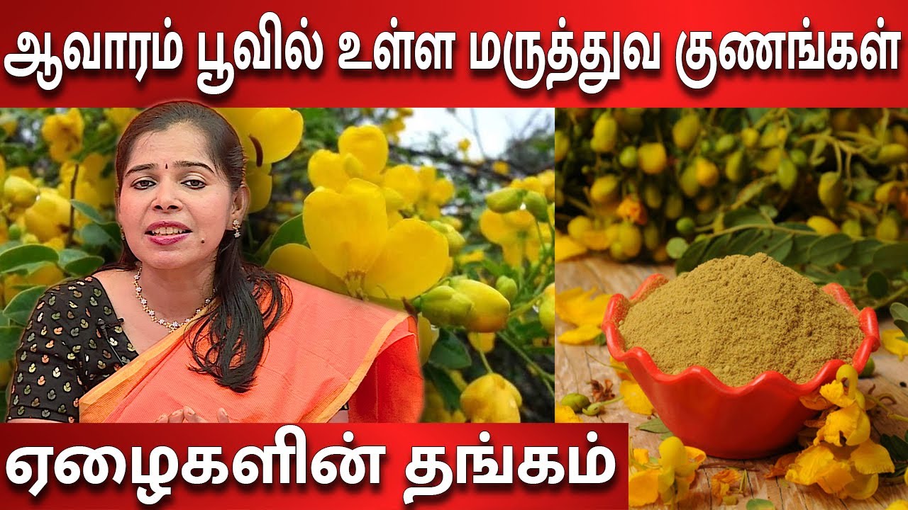 ஆவாரம் பூவில் உள்ள மருத்துவ குணங்கள் | Tamilar Maruthuvam | Pengal.com | Mega TV