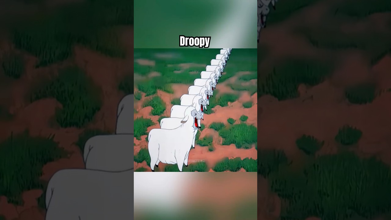 These Sheep Ate EVERYTHING in Their Path 😭