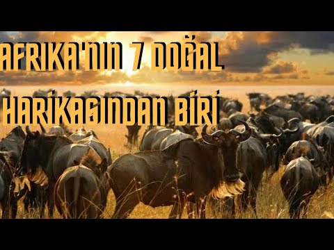 Video: Afrika'daki en büyük doğa koruma alanı. Afrika'daki en iyi 10 milli park ve rezerv