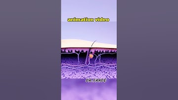 3d animation video 👍// #shorts #trending #viral #tiktok #foryou