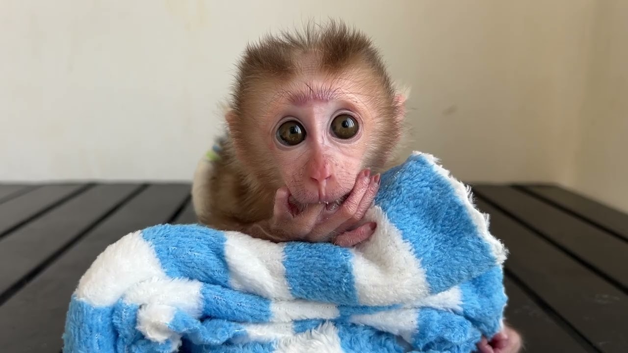 Dad i need milk.................😭😭