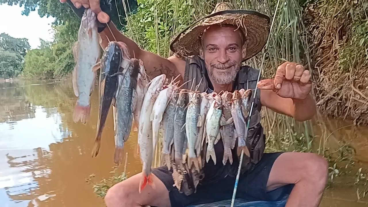 Pescaria de Mandi e bagre! Rio alto e água suja, pega muito peixe 