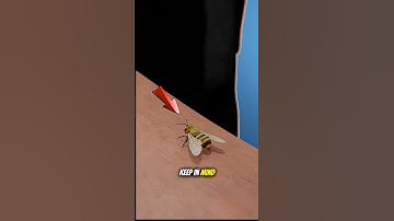 🐝 Bee Sting Survival Guide: Quick First Aid Tips ⚡ Emergency#BeeStingFirstAid #HealthTips #Emergenc