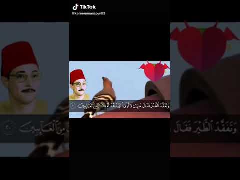 الشيخ شكري البرعي